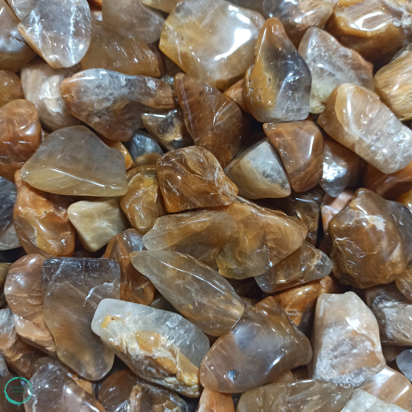 Quarzo con amphibolite caramello lucidato a mano