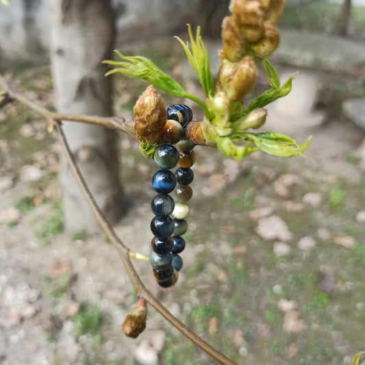 Occhio di falco e tigre miele